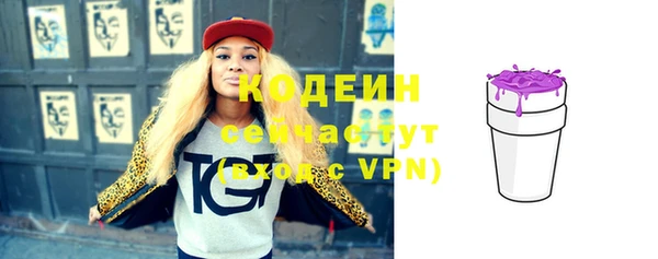 apvp Вяземский