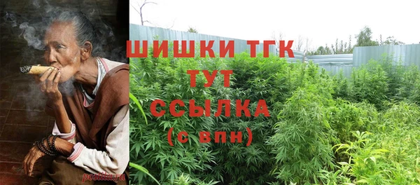 apvp Вяземский