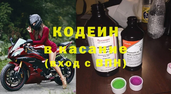 apvp Вяземский